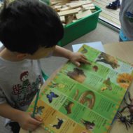 16-busy-minds-early-learning-gallery