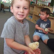 18-busy-minds-early-learning-gallery