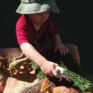 19-busy-minds-early-learning-gallery