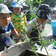 24-busy-minds-early-learning-gallery